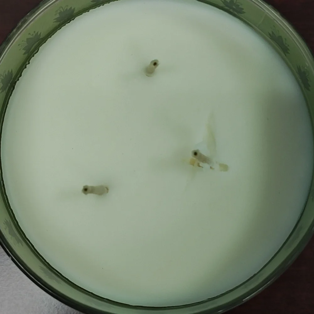 Bath & Body Works TIANA DISNEY PRINCESS COLLECTION 3-Wick Candle
